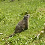 Hotel Les Glieres - Champagny-en-vanoise La Plagne