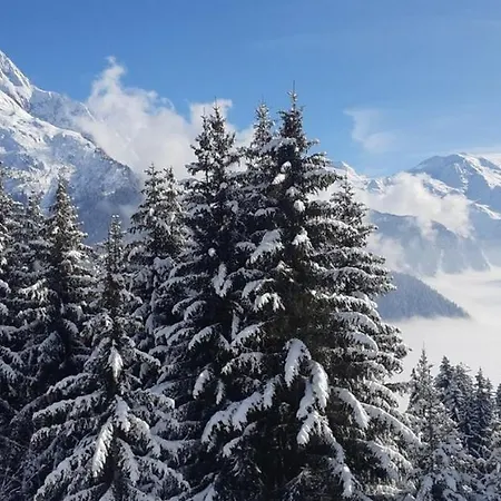 Les Glieres - Champagny-en-vanoise 3* La Plagne