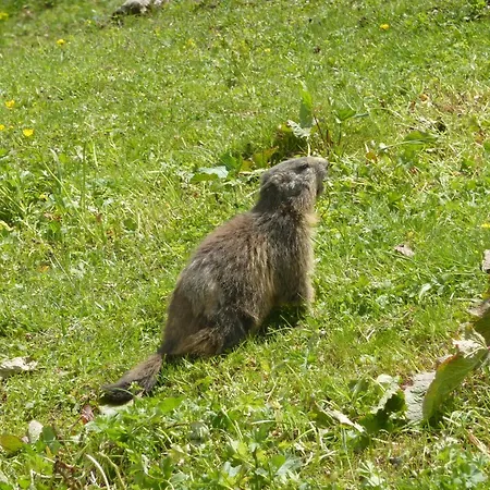 Szálloda Les Glieres - Champagny-en-vanoise La Plagne