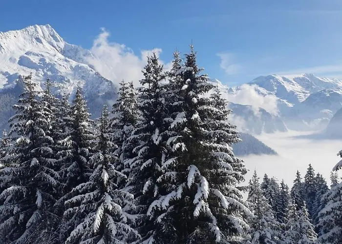 Les Glieres - Champagny-en-vanoise 3* La Plagne